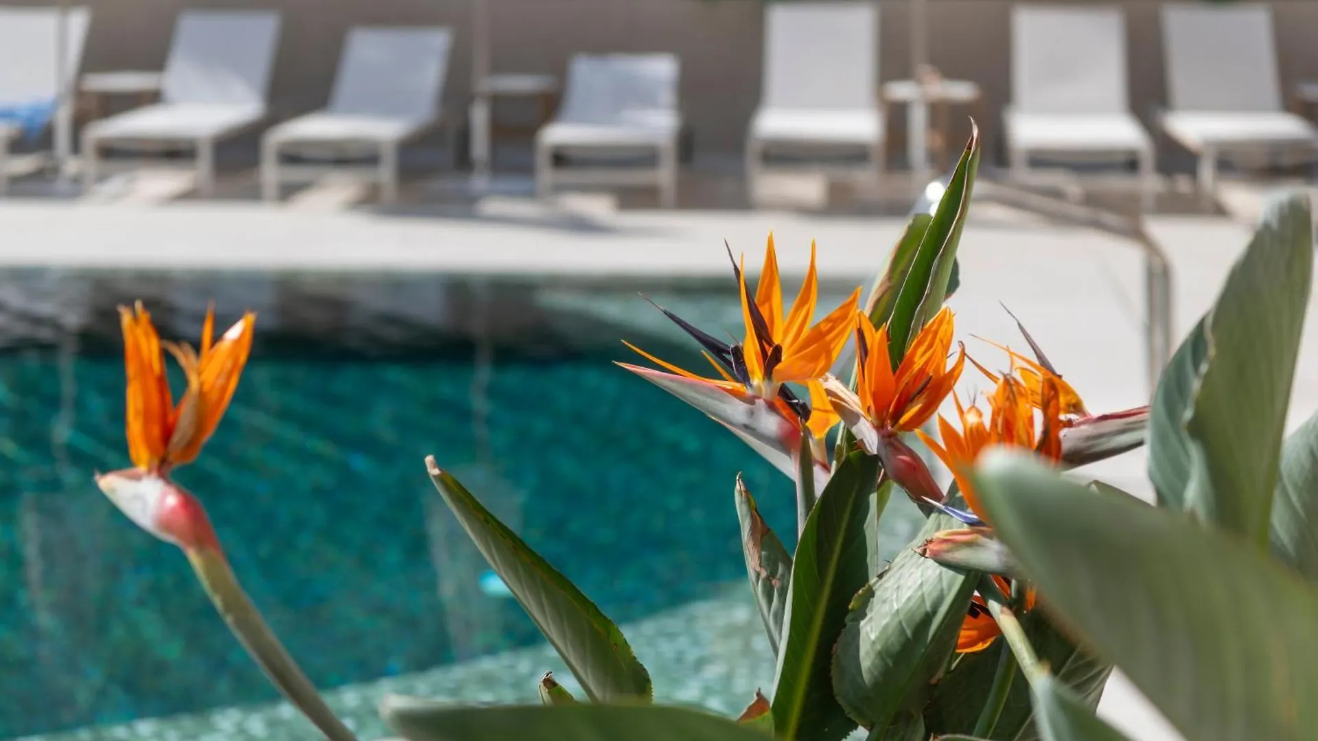 Aqua Hotel Promenade & Spa 4Sup Pineda de Mar 4*,  Spain