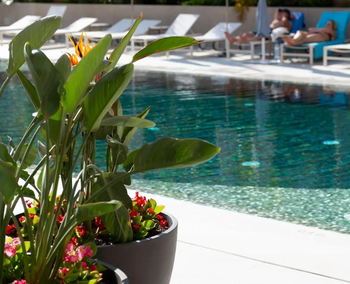 Aqua Hotel Promenade & Spa 4Sup Pineda de Mar
